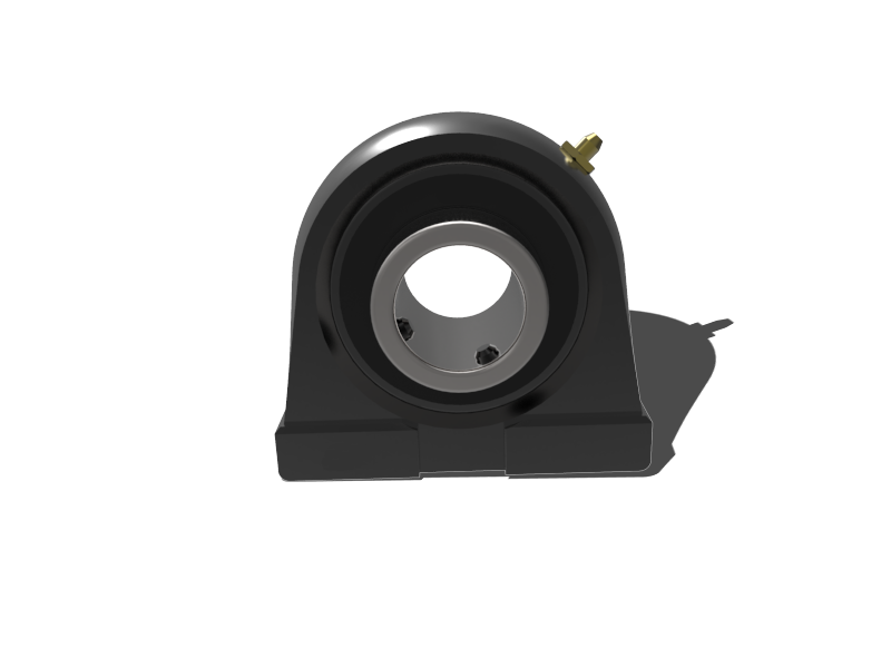 UCFC204